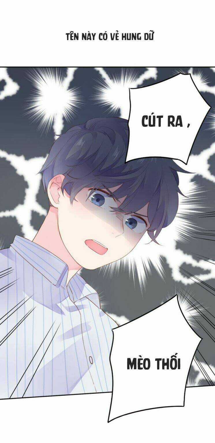 Dolo Mệnh Vận Giao Nang Chapter 41 trang 4