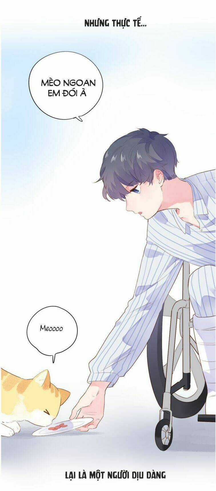 Dolo Mệnh Vận Giao Nang Chapter 41 trang 5