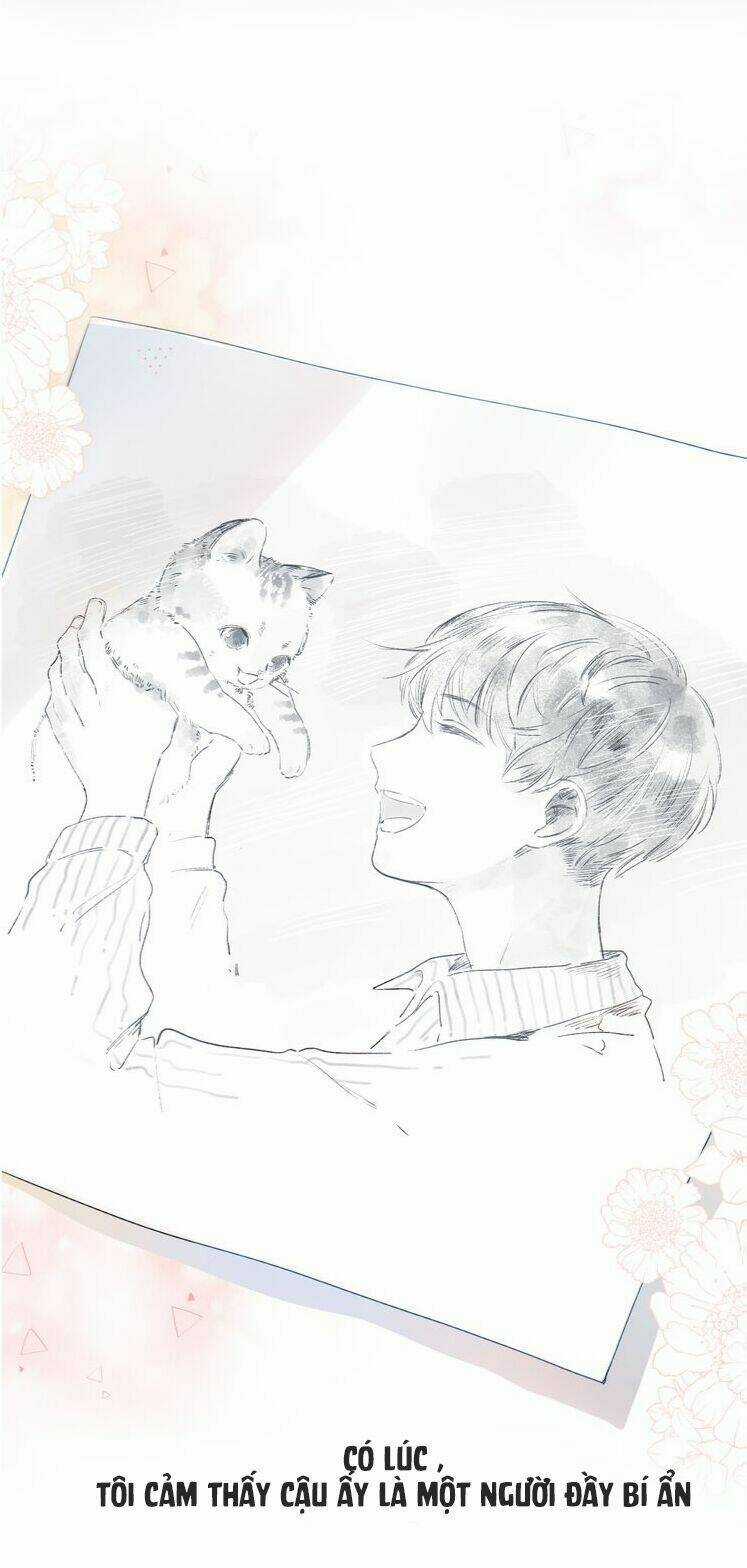 Dolo Mệnh Vận Giao Nang Chapter 41 trang 6