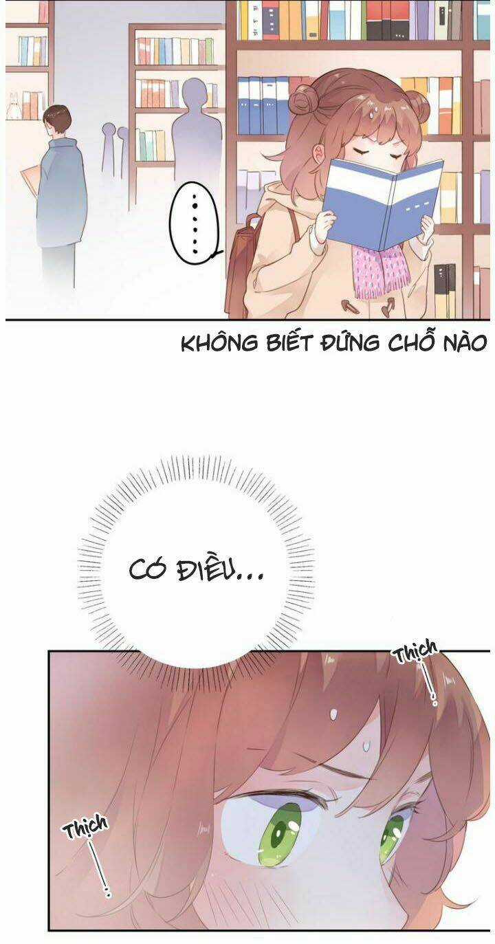 Dolo Mệnh Vận Giao Nang Chapter 42 trang 15