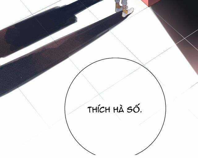 Dolo Mệnh Vận Giao Nang Chapter 48 trang 120