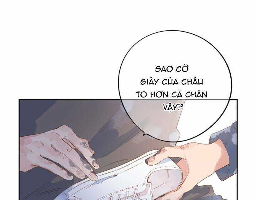 Dolo Mệnh Vận Giao Nang Chapter 48 trang 15
