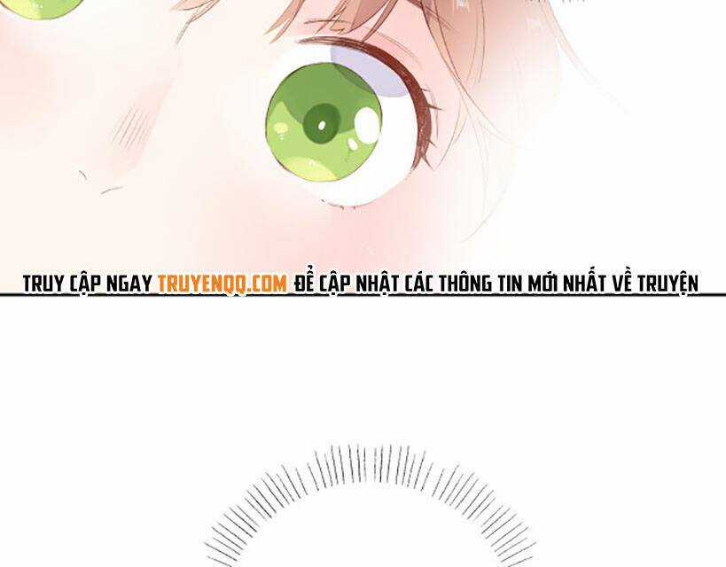 Dolo Mệnh Vận Giao Nang Chapter 48 trang 36