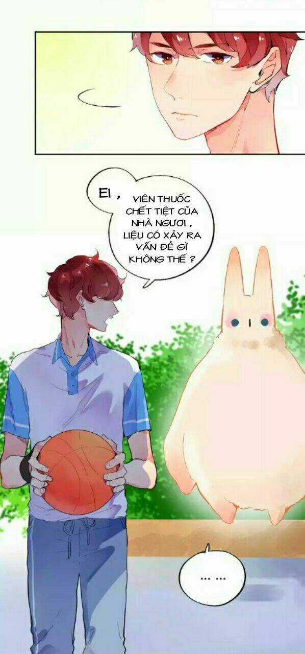 Dolo Mệnh Vận Giao Nang Chapter 5 trang 16