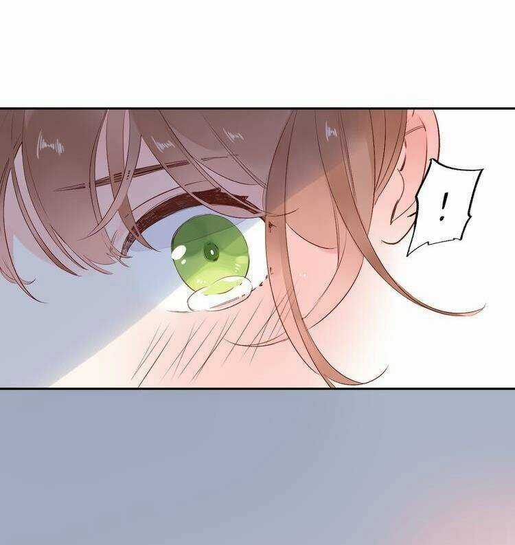 Dolo Mệnh Vận Giao Nang Chapter 50 trang 51