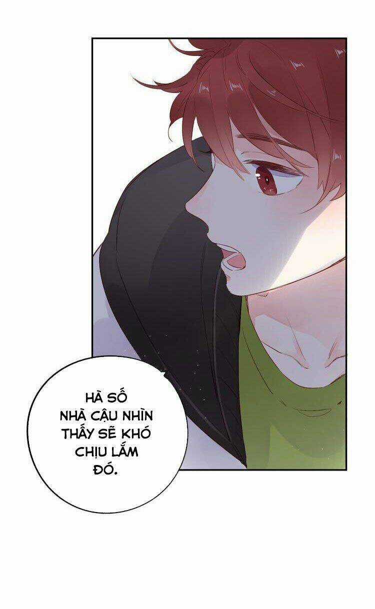 Dolo Mệnh Vận Giao Nang Chapter 50 trang 58