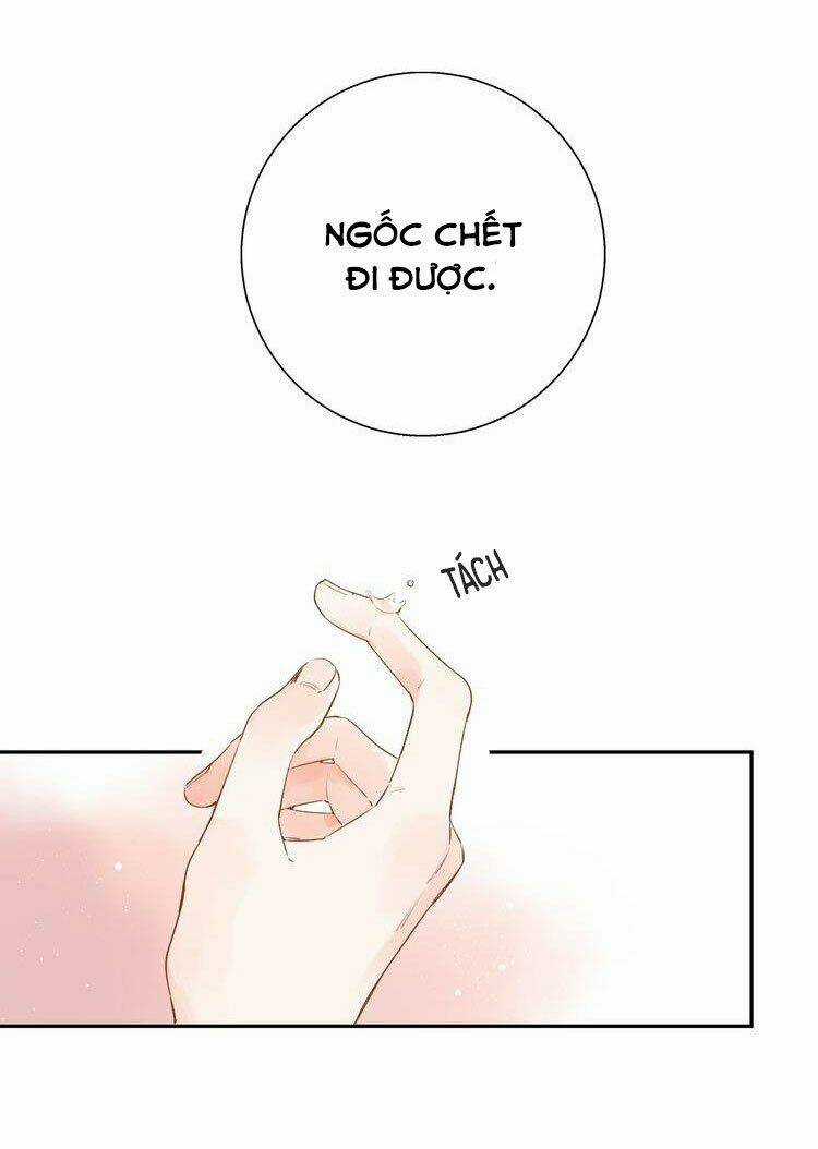 Dolo Mệnh Vận Giao Nang Chapter 50 trang 69