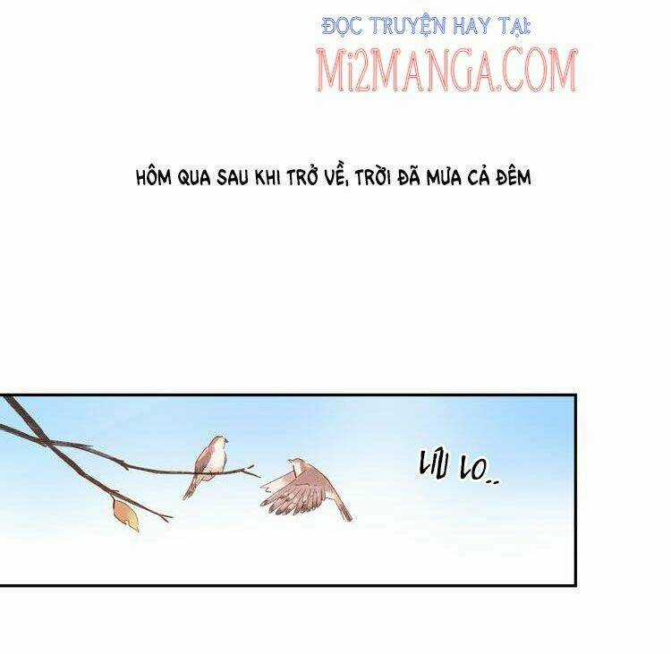 Dolo Mệnh Vận Giao Nang Chapter 51.1 trang 13