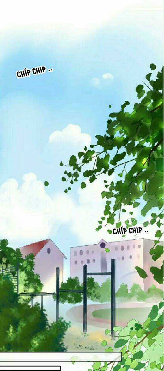 Dolo Mệnh Vận Giao Nang Chapter 7 trang 23