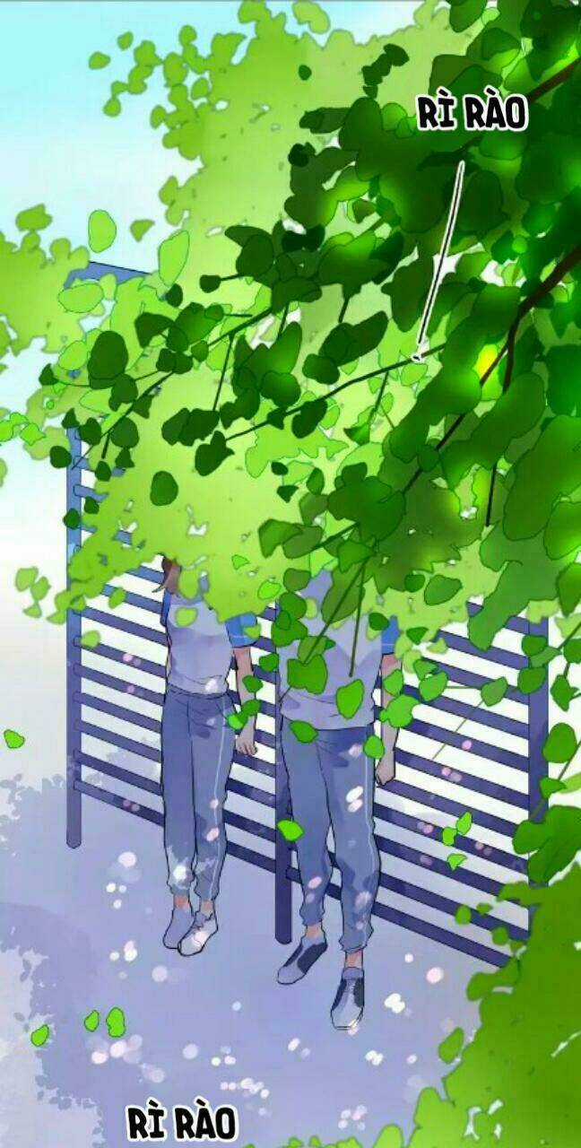 Dolo Mệnh Vận Giao Nang Chapter 7 trang 50