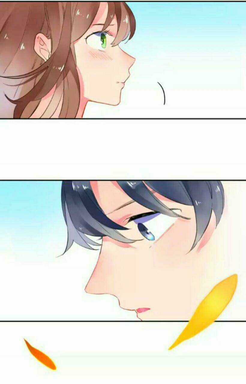 Dolo Mệnh Vận Giao Nang Chapter 7 trang 63