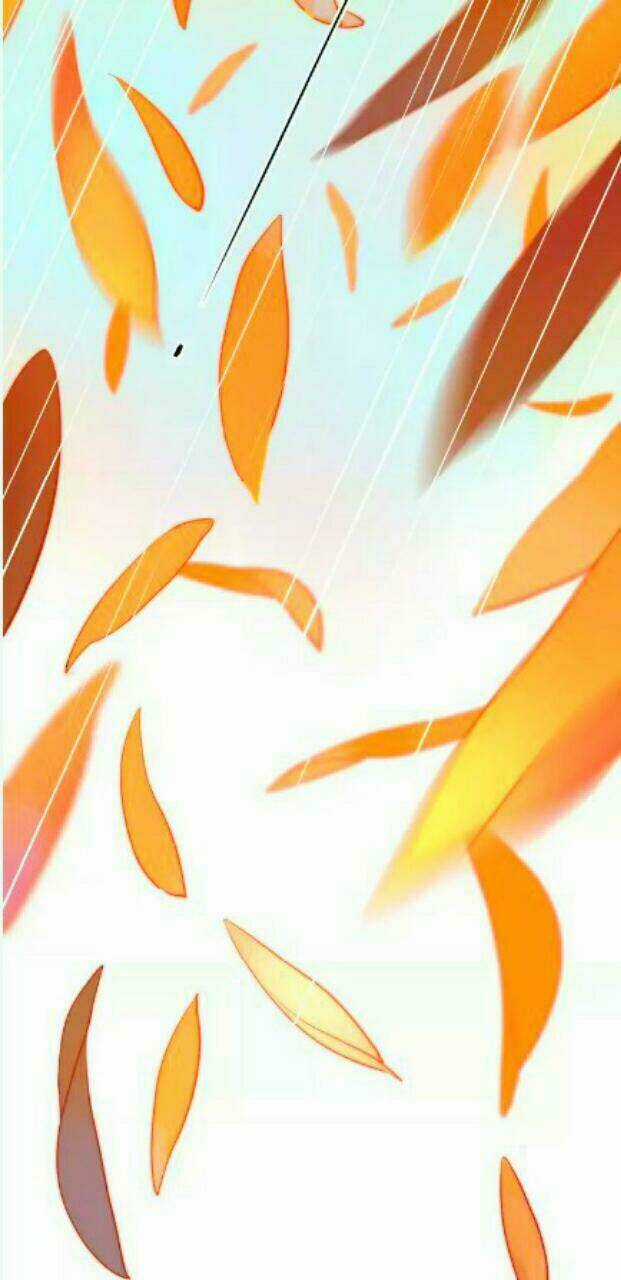 Dolo Mệnh Vận Giao Nang Chapter 7 trang 66