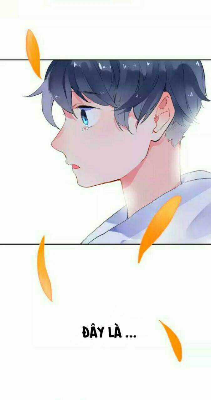 Dolo Mệnh Vận Giao Nang Chapter 7 trang 69