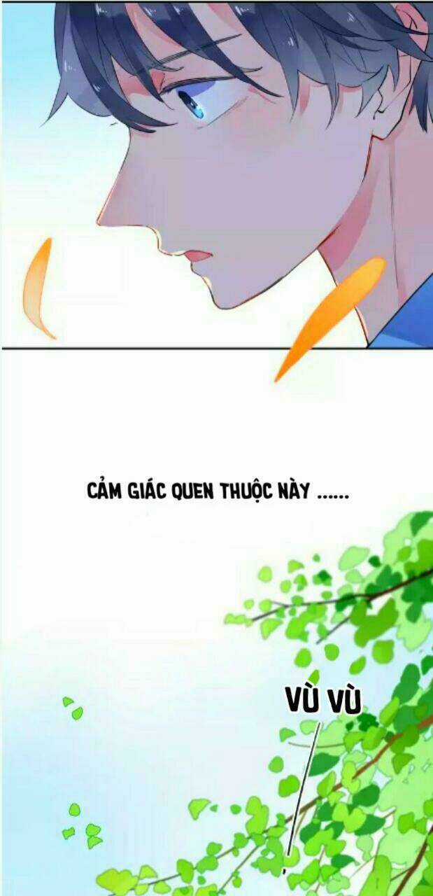 Dolo Mệnh Vận Giao Nang Chapter 7 trang 70