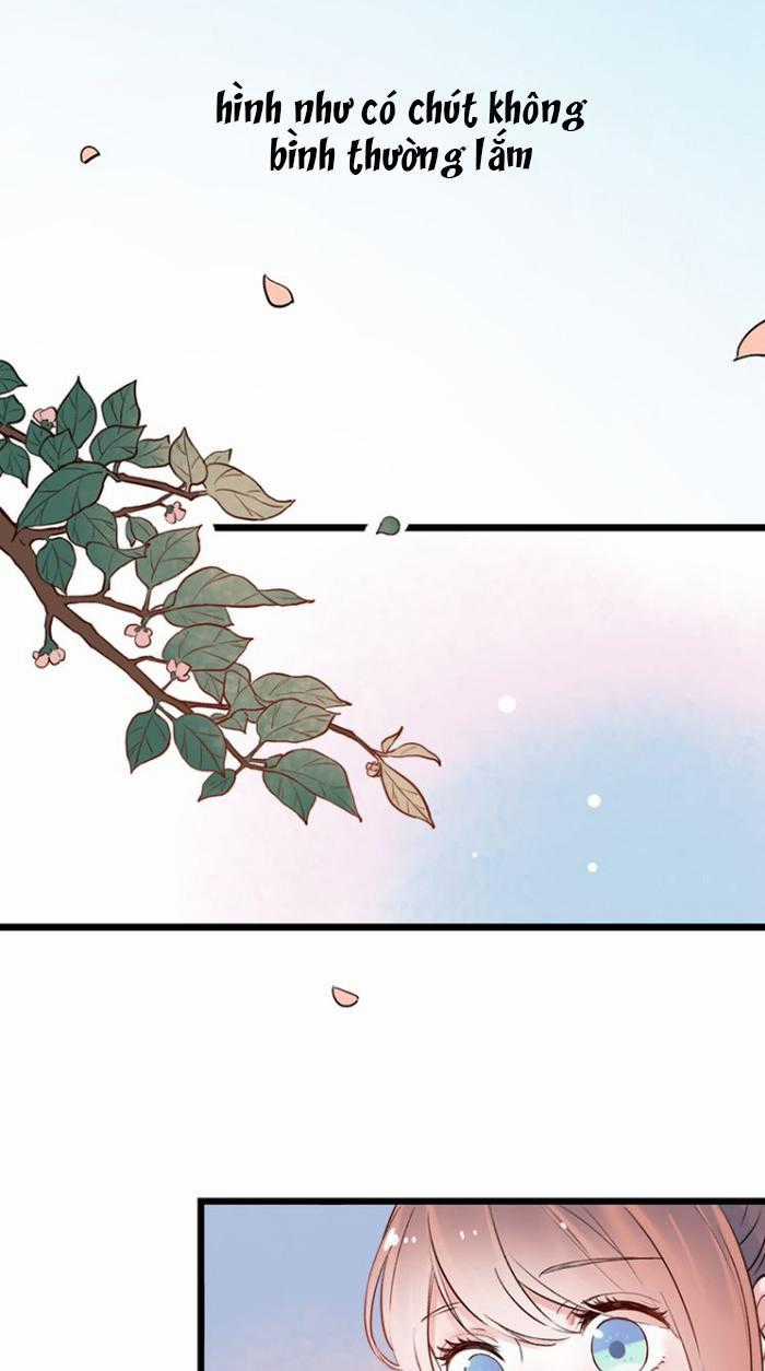 Đom Đóm Trên Dòng Sông Cô Quạnh Chapter 15 trang 22