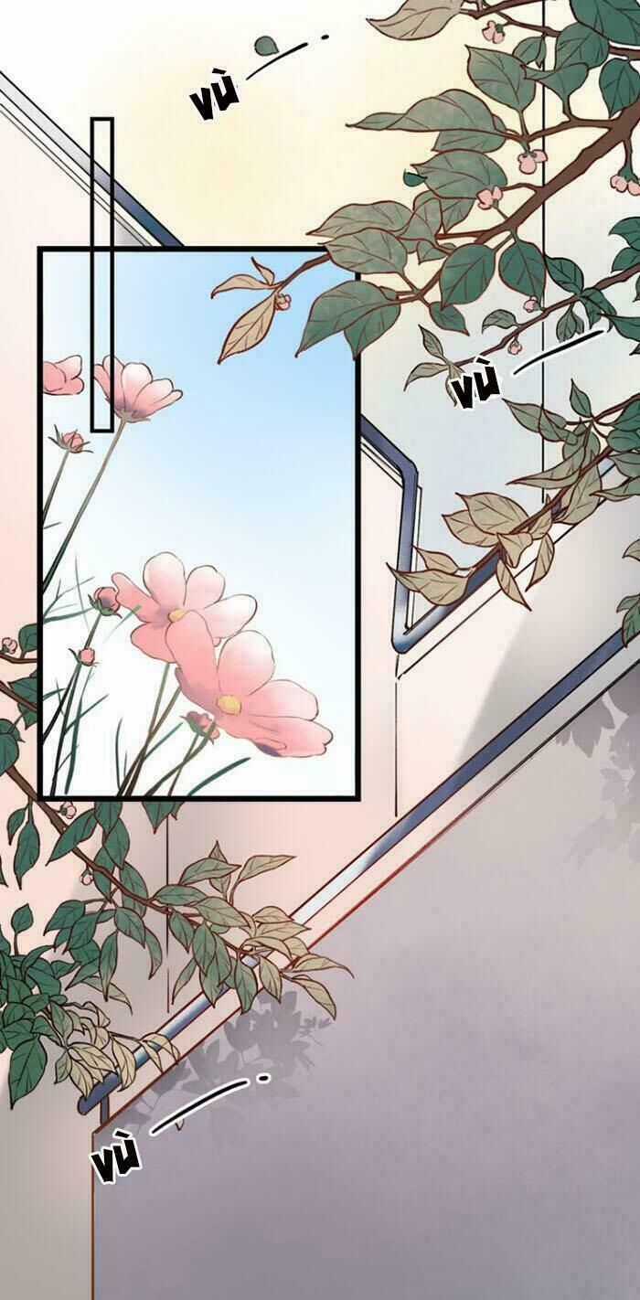 Đom Đóm Trên Dòng Sông Cô Quạnh Chapter 16 trang 38