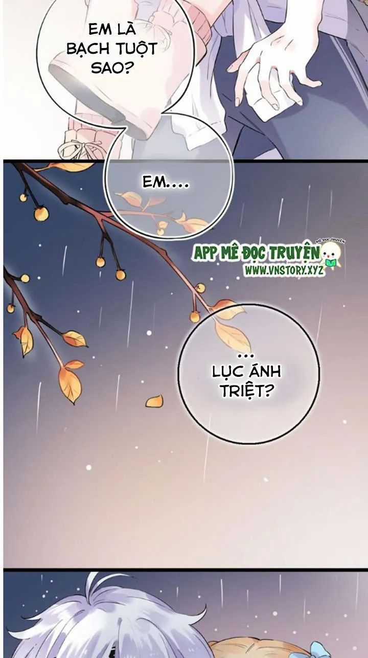 Đom Đóm Trên Dòng Sông Cô Quạnh Chapter 40 trang 15