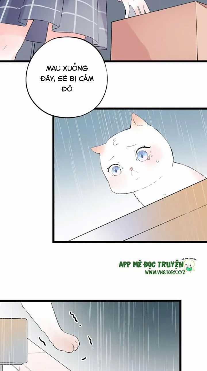 Đom Đóm Trên Dòng Sông Cô Quạnh Chapter 42 trang 48