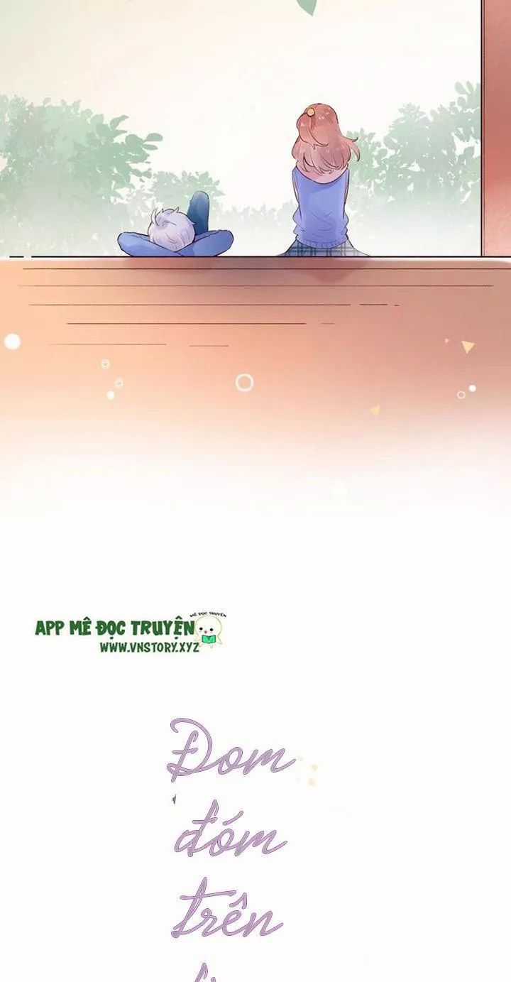 Đom Đóm Trên Dòng Sông Cô Quạnh Chapter 61 trang 6