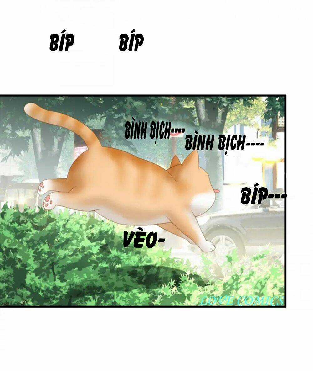 Dòng Chảy Trong Mơ Chapter 3 trang 10