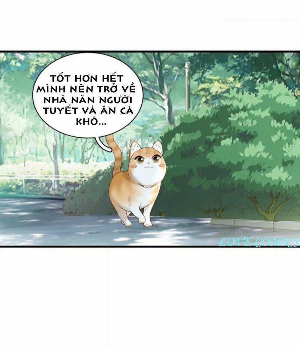 Dòng Chảy Trong Mơ Chapter 3 trang 13