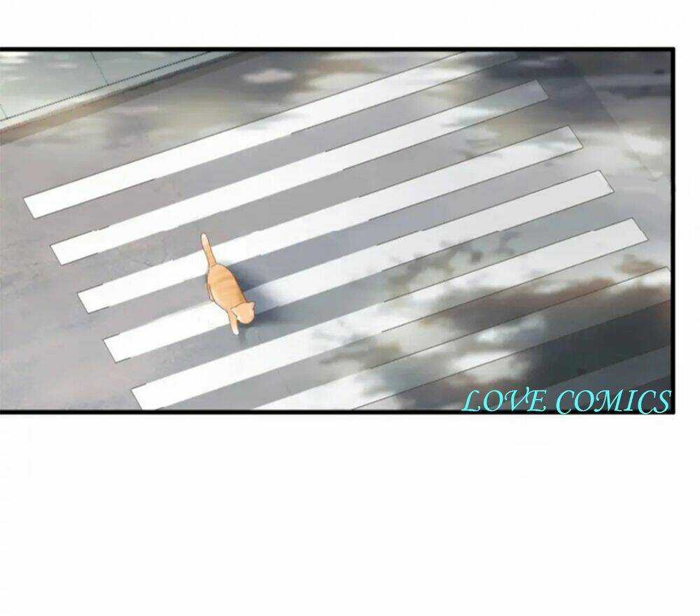 Dòng Chảy Trong Mơ Chapter 3 trang 14