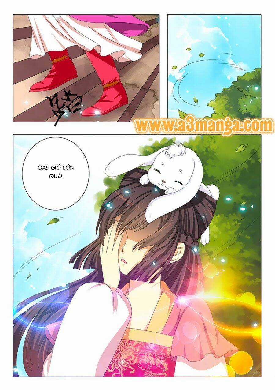 Đống Phù Đã Khai Quang Chapter 15 trang 3