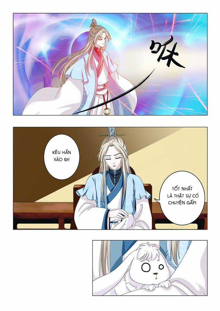 Đống Phù Đã Khai Quang Chapter 19 trang 12