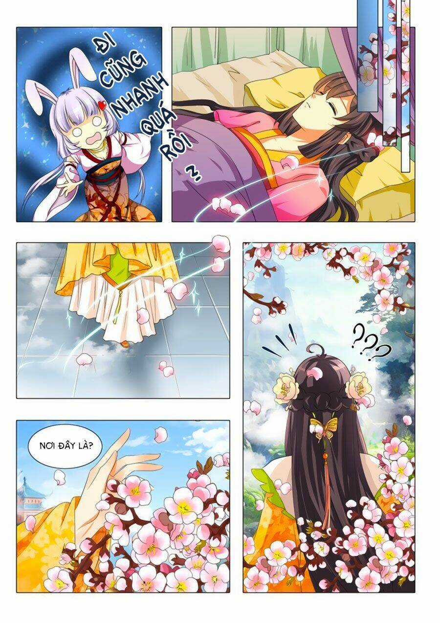 Đống Phù Đã Khai Quang Chapter 3 trang 5