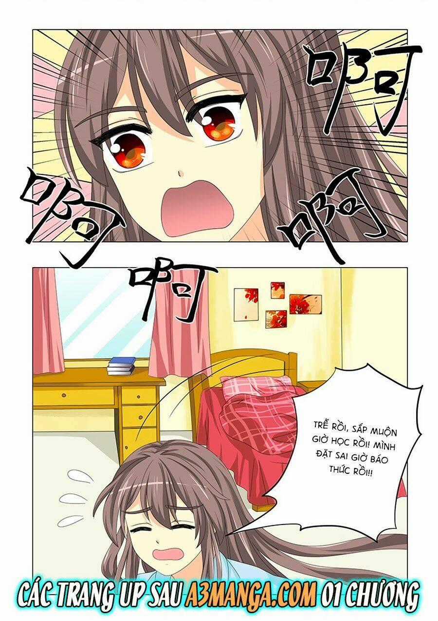 Đống Phù Đã Khai Quang Chapter 30 trang 13