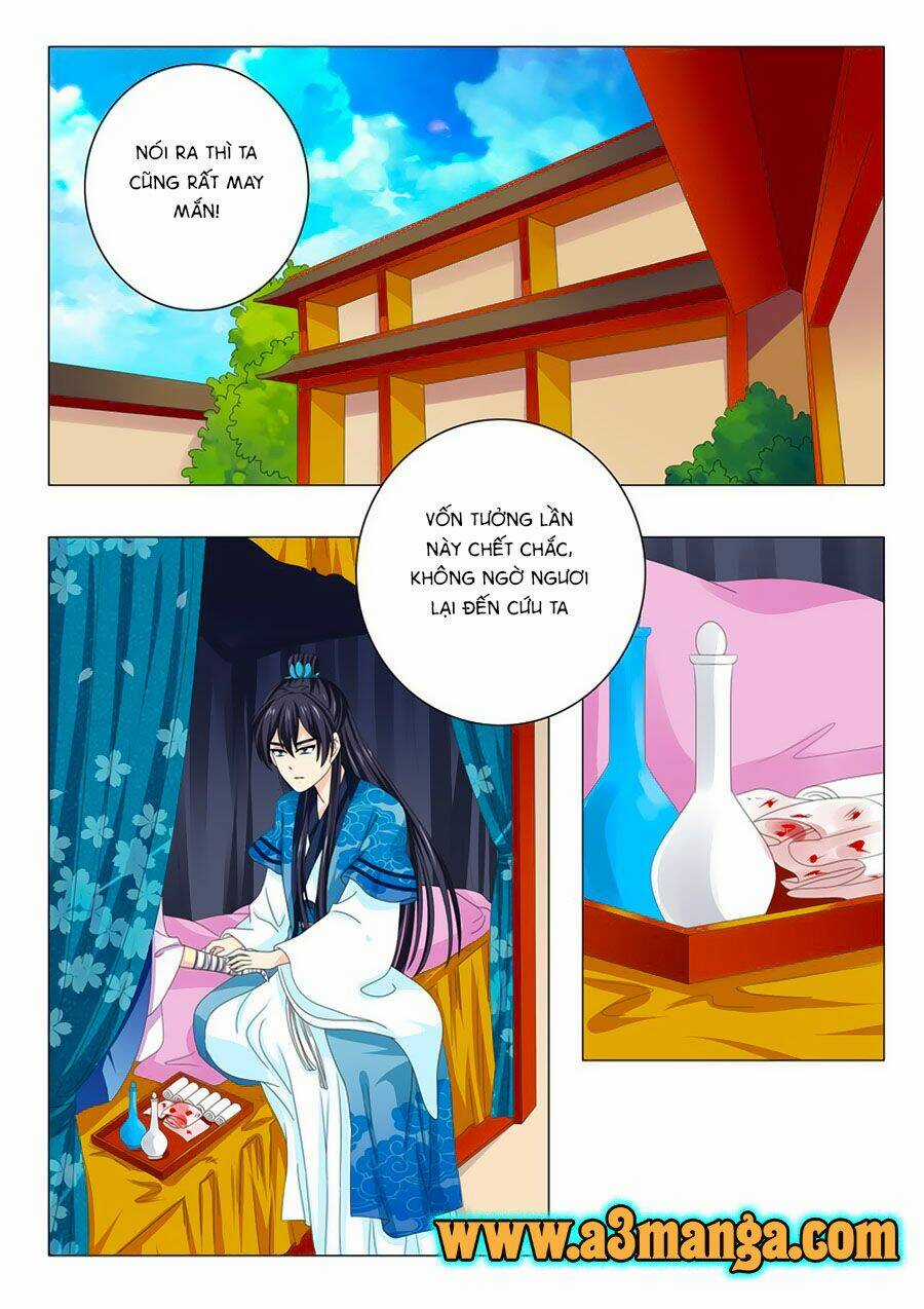 Đống Phù Đã Khai Quang Chapter 36 trang 5