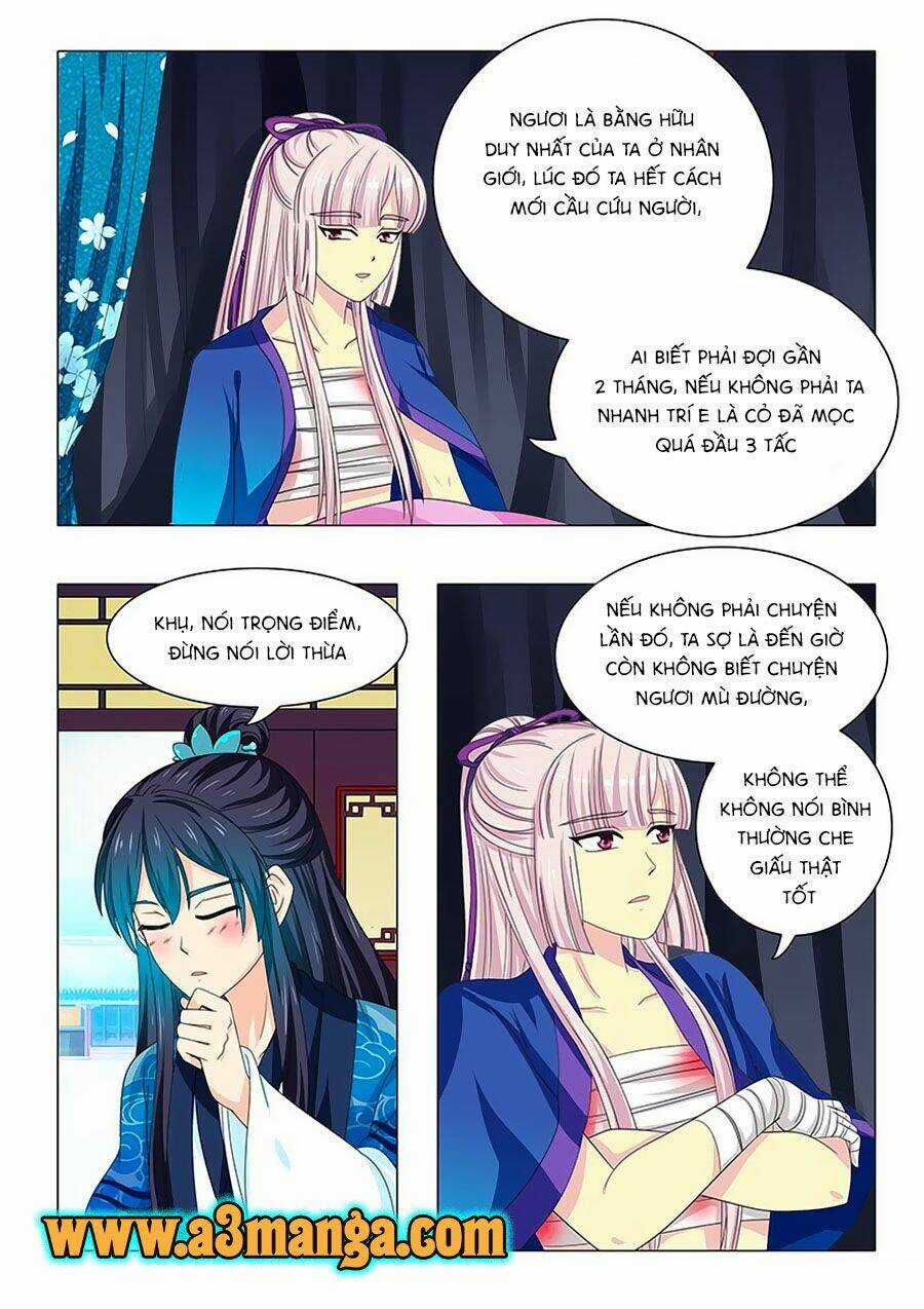 Đống Phù Đã Khai Quang Chapter 37 trang 7