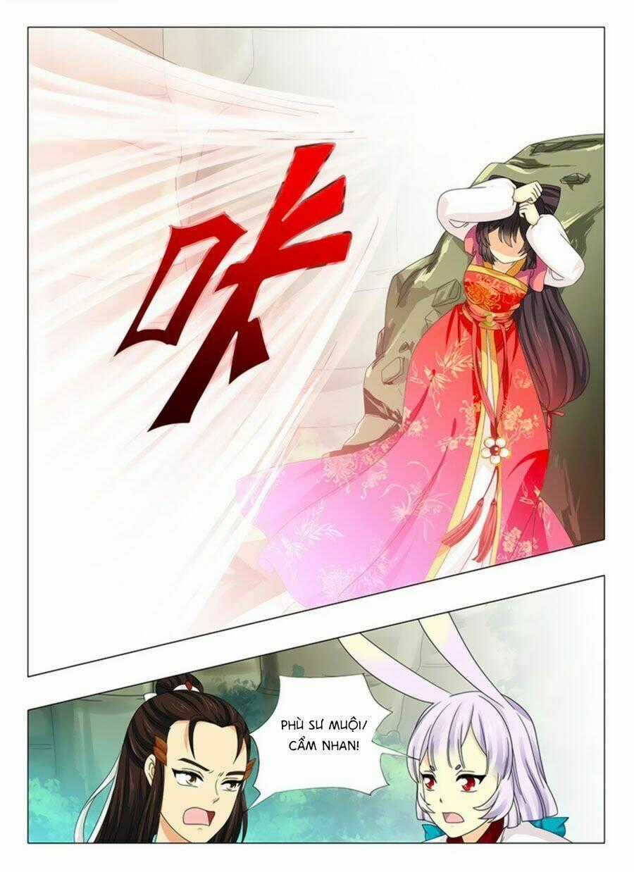 Đống Phù Đã Khai Quang Chapter 56 trang 13