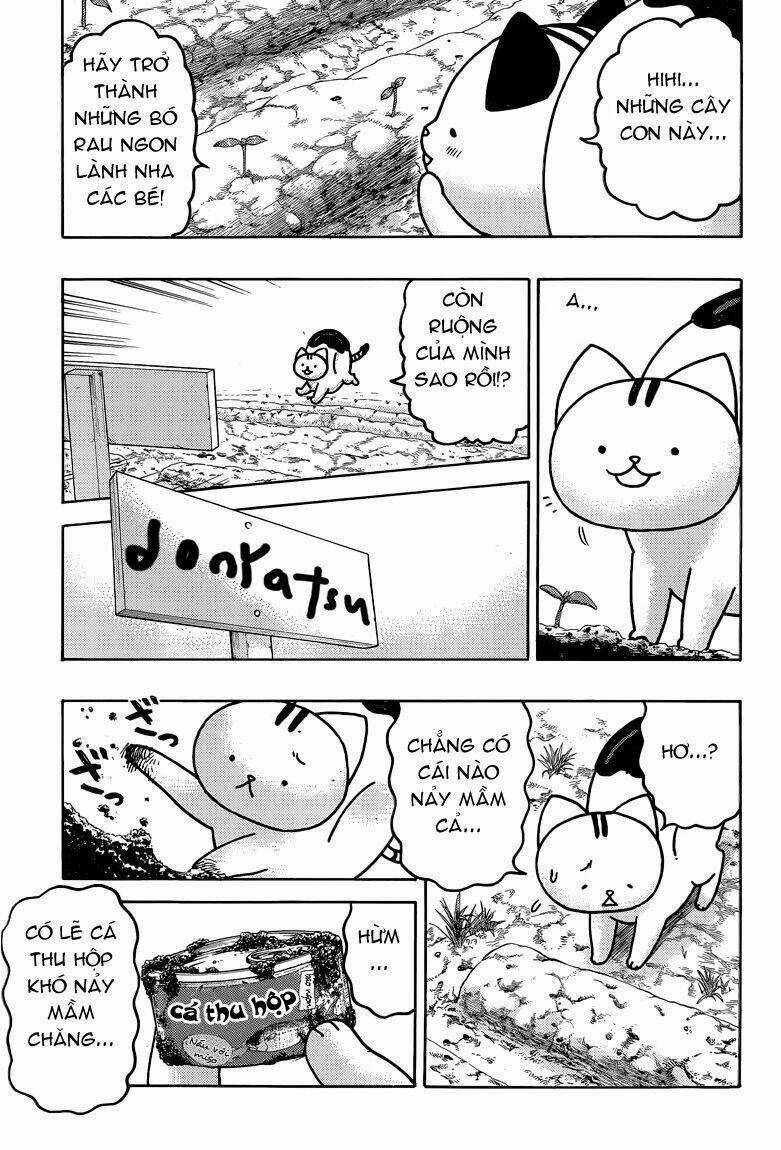 Donyatsu Chapter 35 trang 10