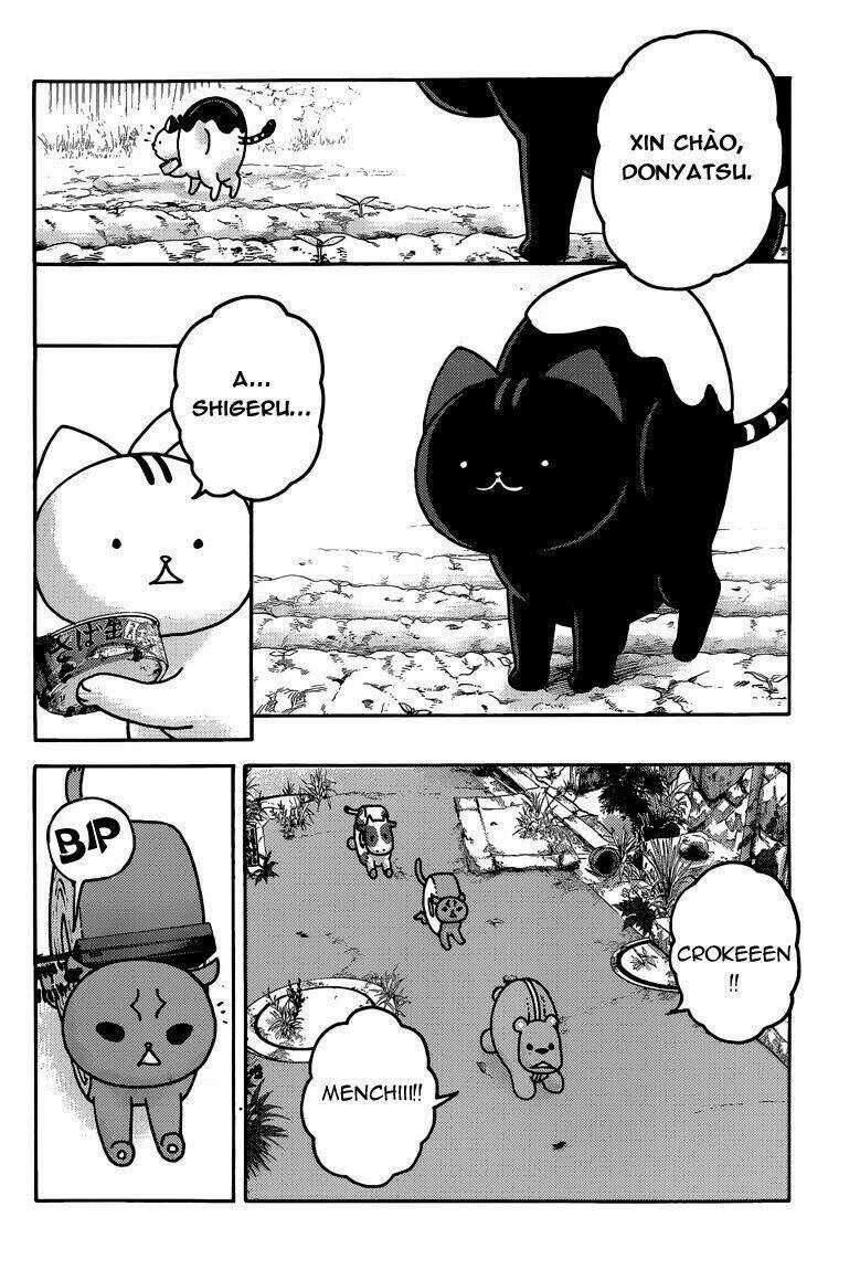 Donyatsu Chapter 35 trang 11