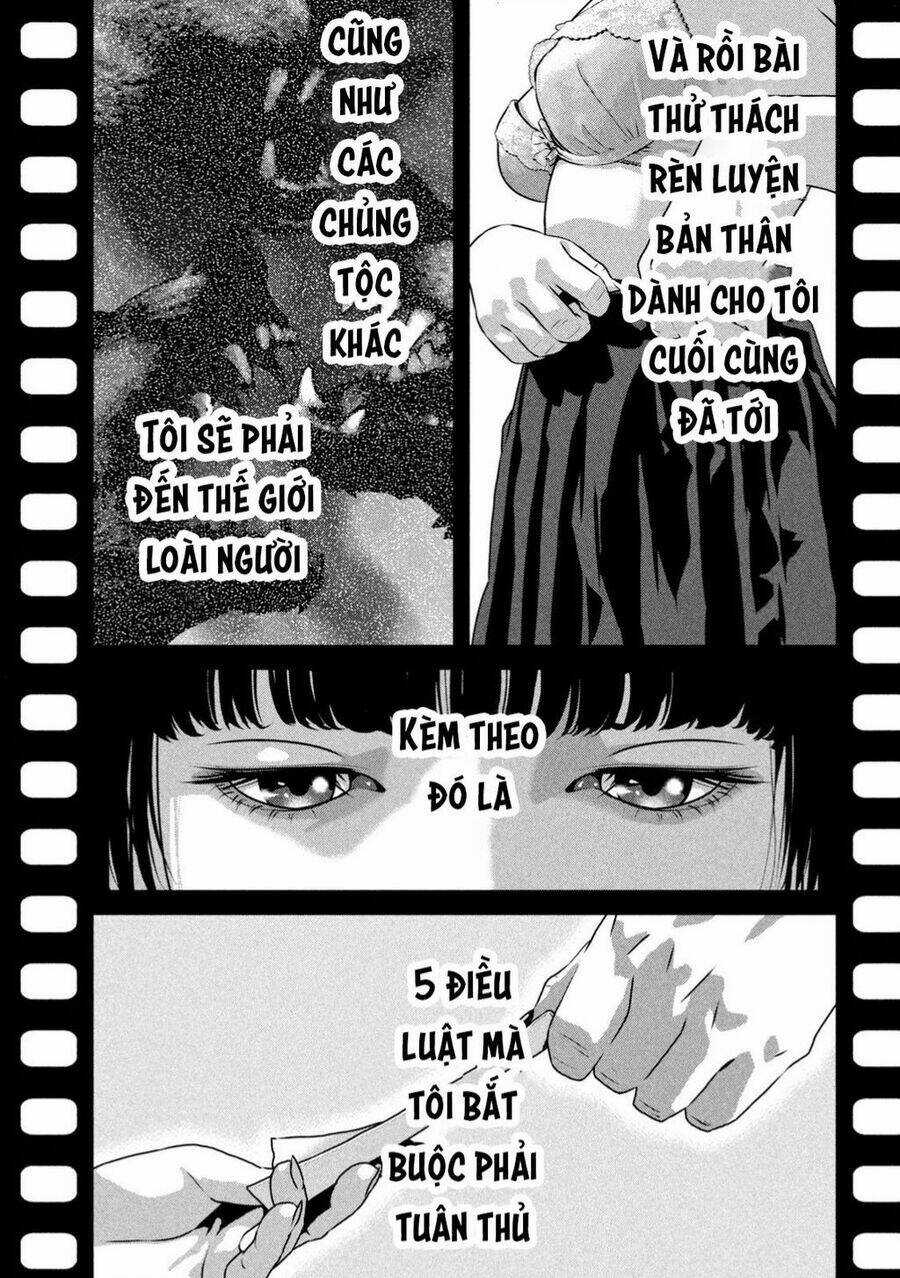 Dora-Q Chapter 1 trang 15