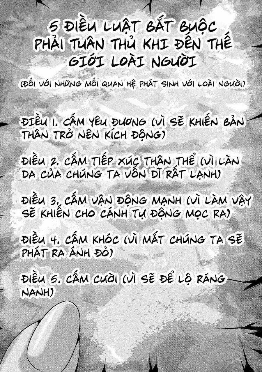 Dora-Q Chapter 1 trang 16