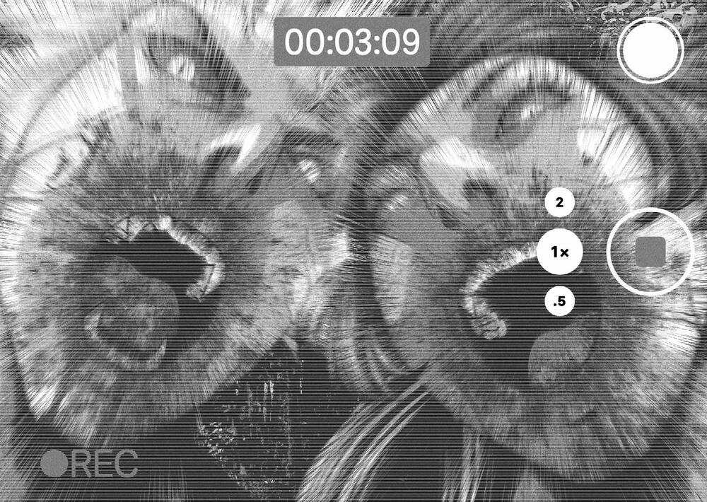 Dora-Q Chapter 29 trang 14