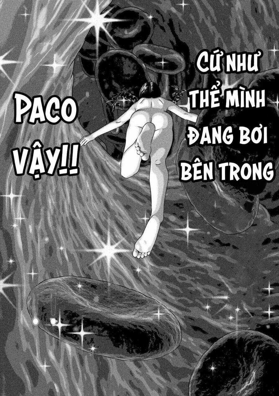 Dora-Q Chapter 3 trang 17