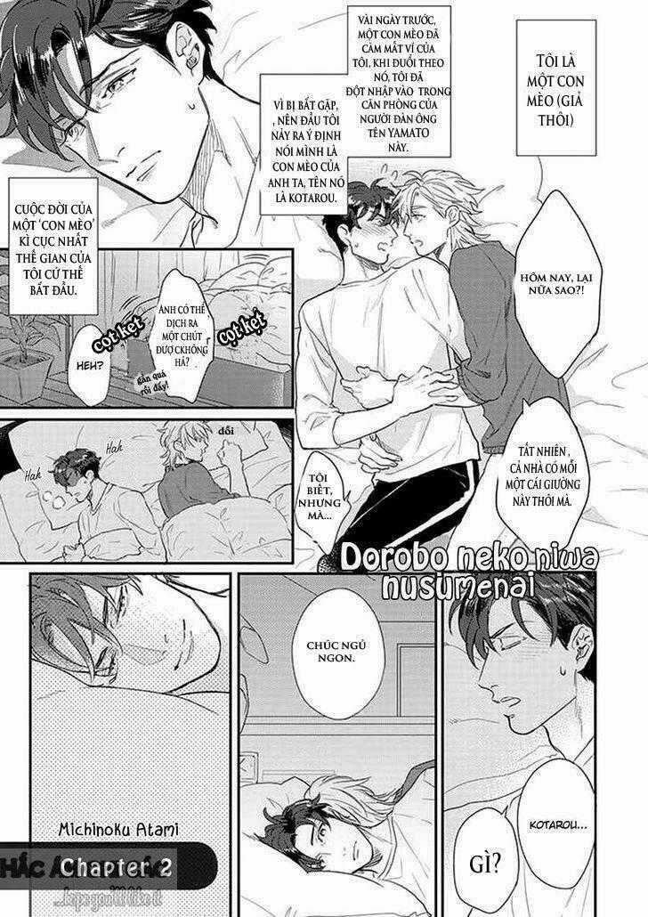 Dorobou Neko Ni Wa Nusumena Chapter 2 trang 1