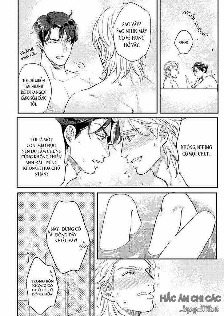 Dorobou Neko Ni Wa Nusumena Chapter 2 trang 6