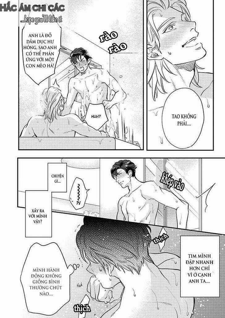 Dorobou Neko Ni Wa Nusumena Chapter 2 trang 8