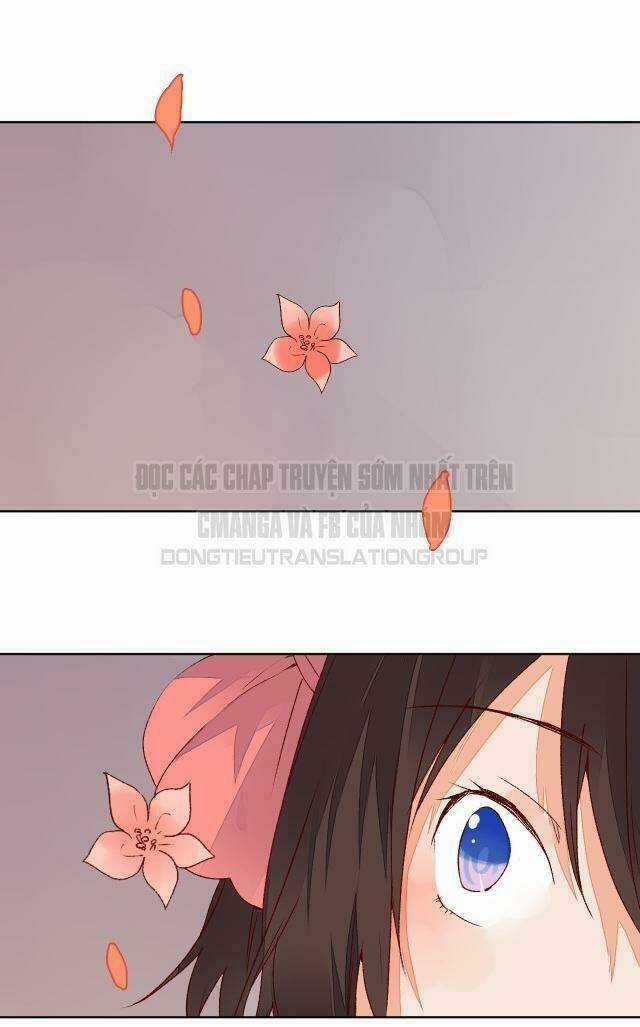 Đốt Đào Hoa Chapter 62 trang 3