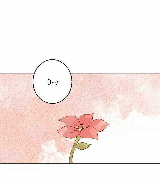 Đốt Đào Hoa Chapter 65 trang 15