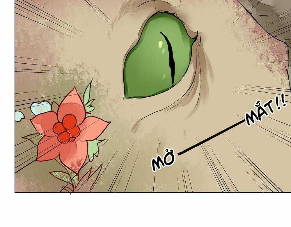 Đốt Đào Hoa Chapter 7 trang 57