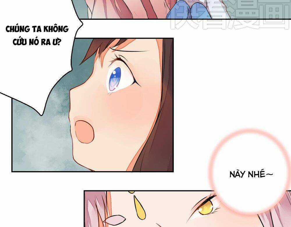 Đốt Đào Hoa Chapter 8 trang 29