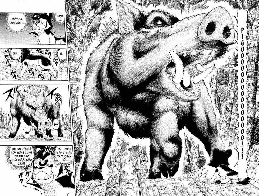 Doubutsu no Kuni Chapter 6 trang 26