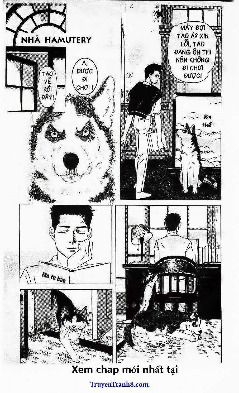 Doubutsu No Oishasan Chapter 14 trang 6