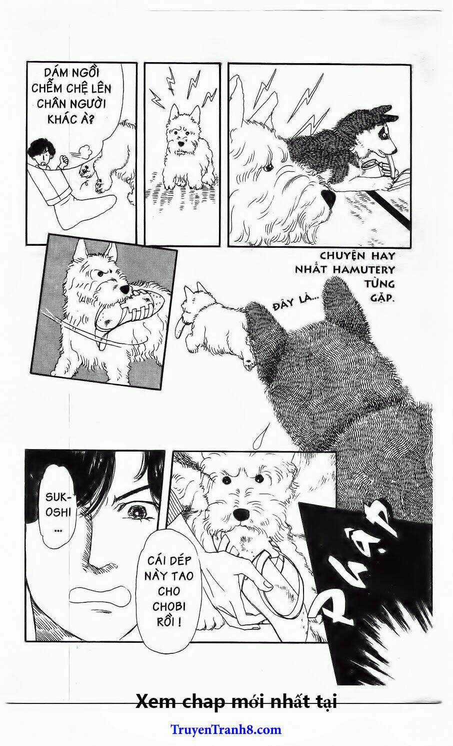 Doubutsu No Oishasan Chapter 20 trang 19