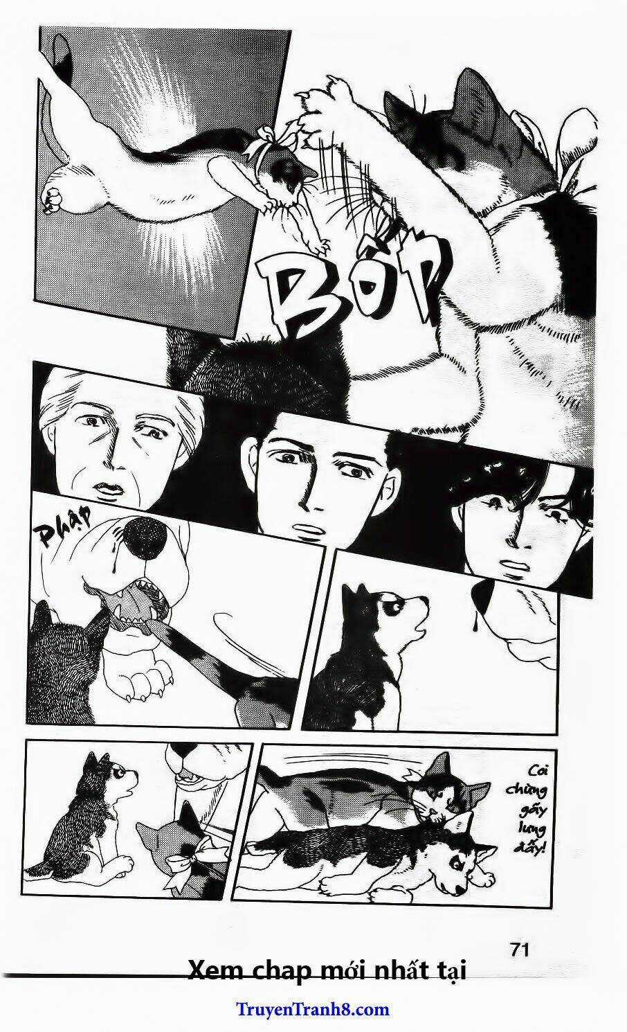 Doubutsu No Oishasan Chapter 26 trang 16